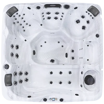 Avalon EC-867L hot tubs for sale in Washington
